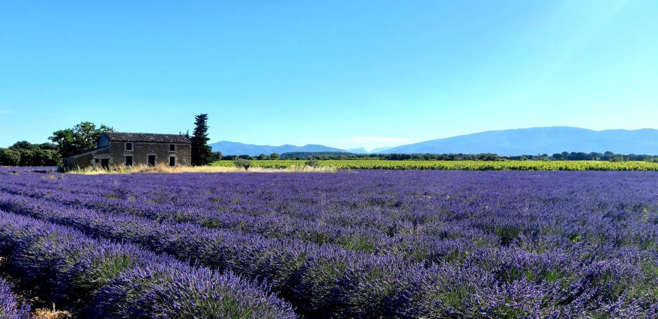 ValréasL'Instant Provence别墅 外观 照片